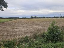 Działka rolna Chojny. Zdjęcie 1