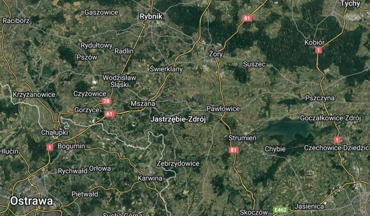 dom wolnostojący Jastrzębie-Zdrój, ul. Pszczyńska