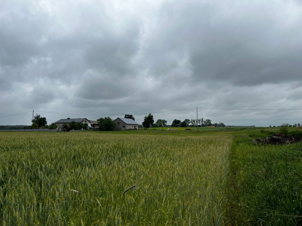 Działka budowlana Rumunki Witkowskie. Zdjęcie 8