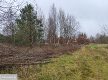 Działka budowlana Strzelno, ul. Wiejska. Zdjęcie 4