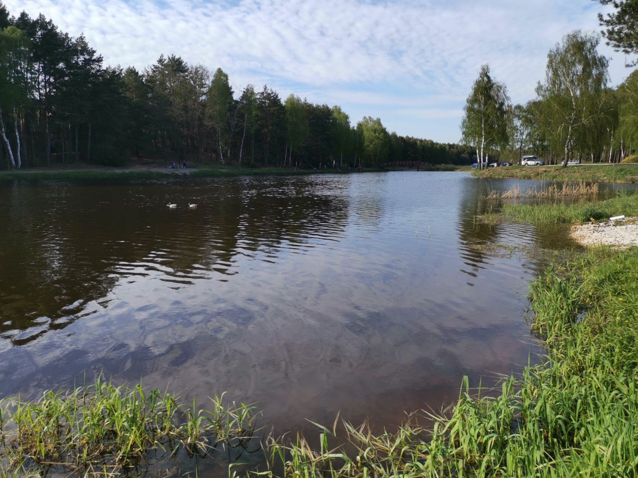 Działka budowlana Bujny Księże. Zdjęcie 8