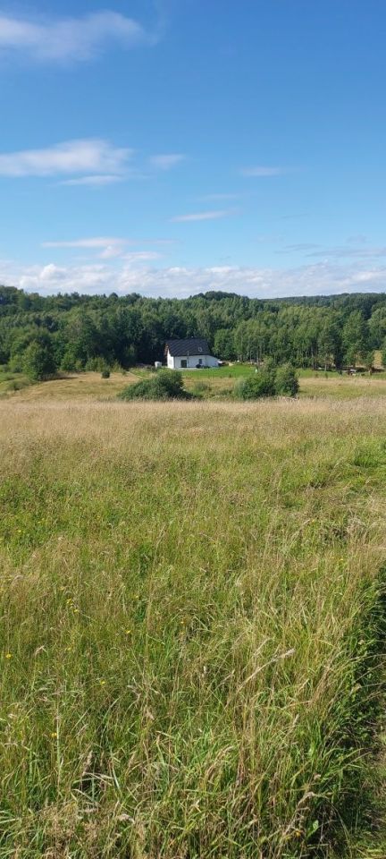 Działka budowlana Trzepowo, ul. Mestwina. Zdjęcie 3