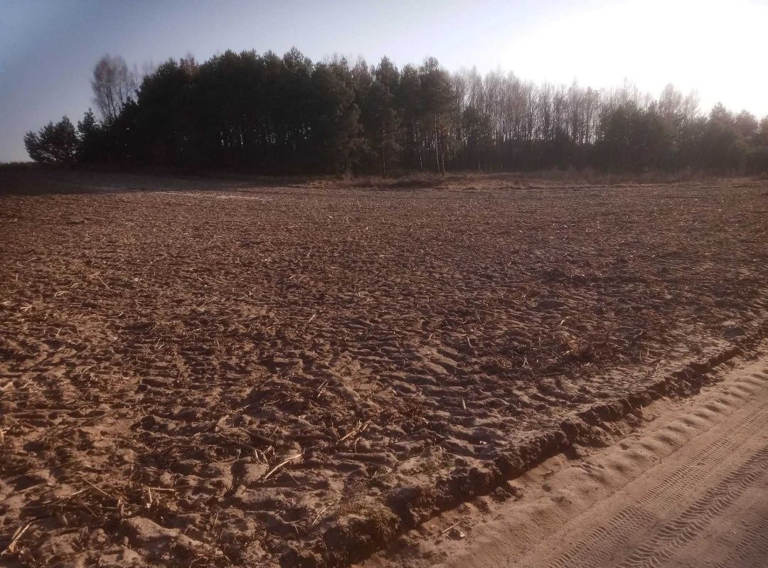 Działka budowlana Białkowo. Zdjęcie 8