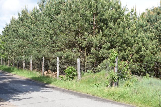 Działka budowlana Burlaki, ul. Akacjowa. Zdjęcie 1