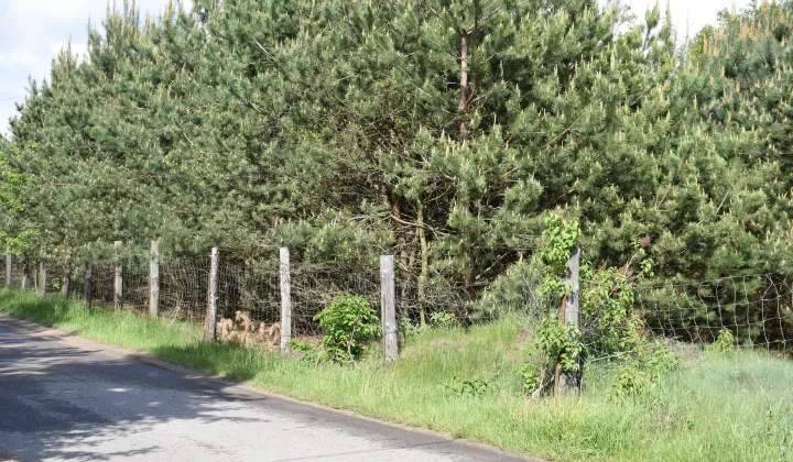 Działka budowlana Burlaki, ul. Akacjowa