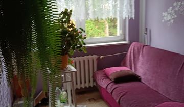 Mieszkanie 4-pokojowe Adamowo