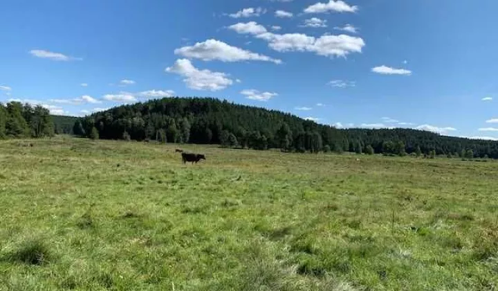 Działka siedliskowa Czarna Dąbrówka