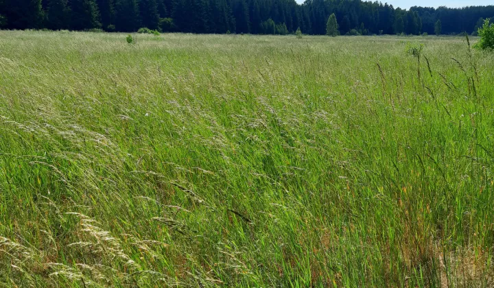 Działka rolna Doratynka Skaryszewo