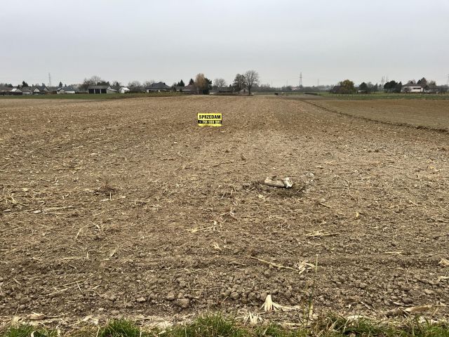 Działka rolno-budowlana Bonów. Zdjęcie 1