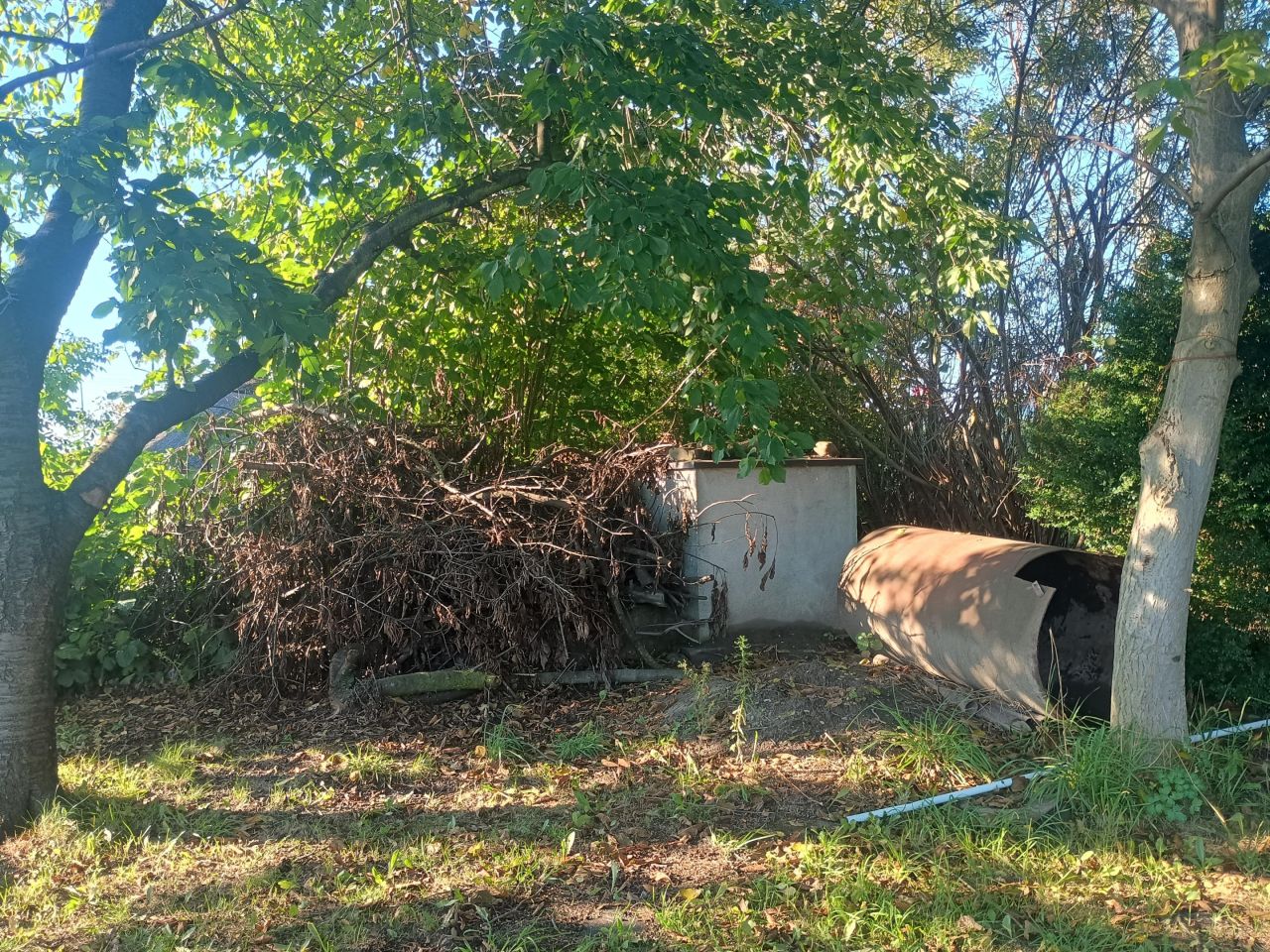 Działka rekreacyjna Zabrze Rokitnica, ul. Krakowska. Zdjęcie 3