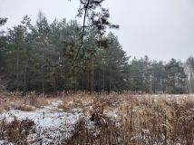 Działka rolno-budowlana Gola Wielka. Zdjęcie 1