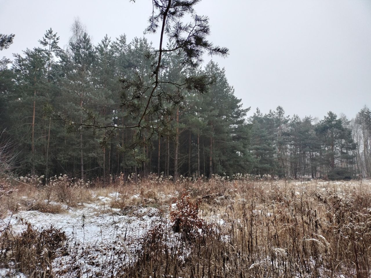 Działka rolno-budowlana Gola Wielka. Zdjęcie 2