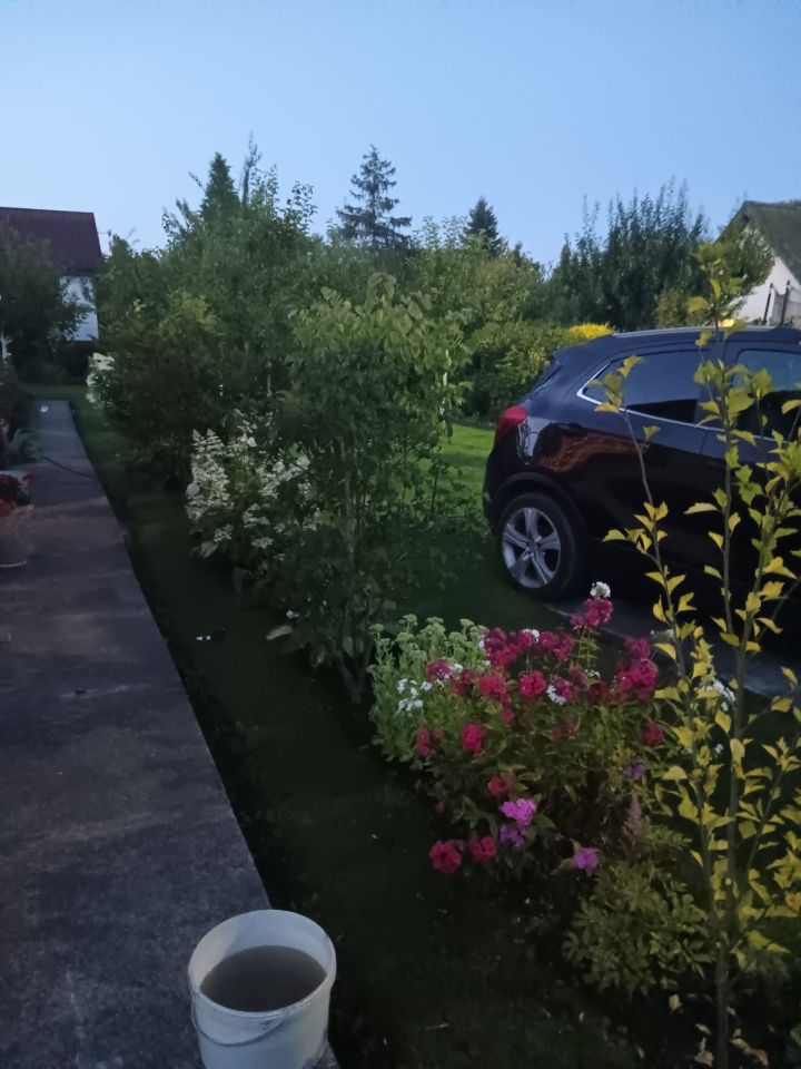 Działka rod Budzistowo, ul. Janiska. Zdjęcie 21