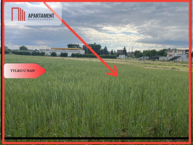 Działka inwestycyjna Przygodzice, ul. Ogrodowa. Zdjęcie 10