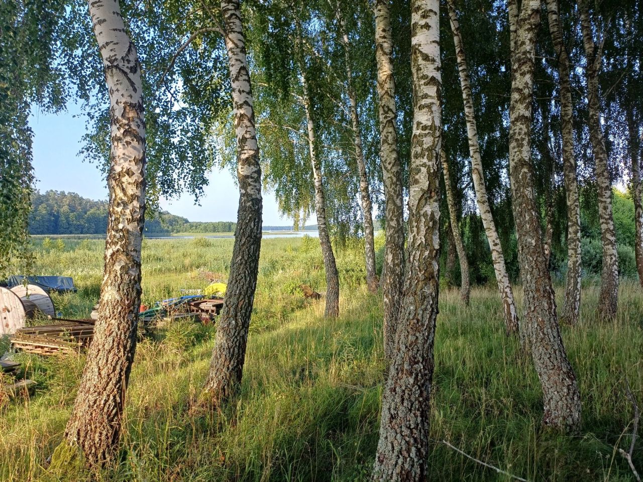 Działka rolno-budowlana Guty. Zdjęcie 1