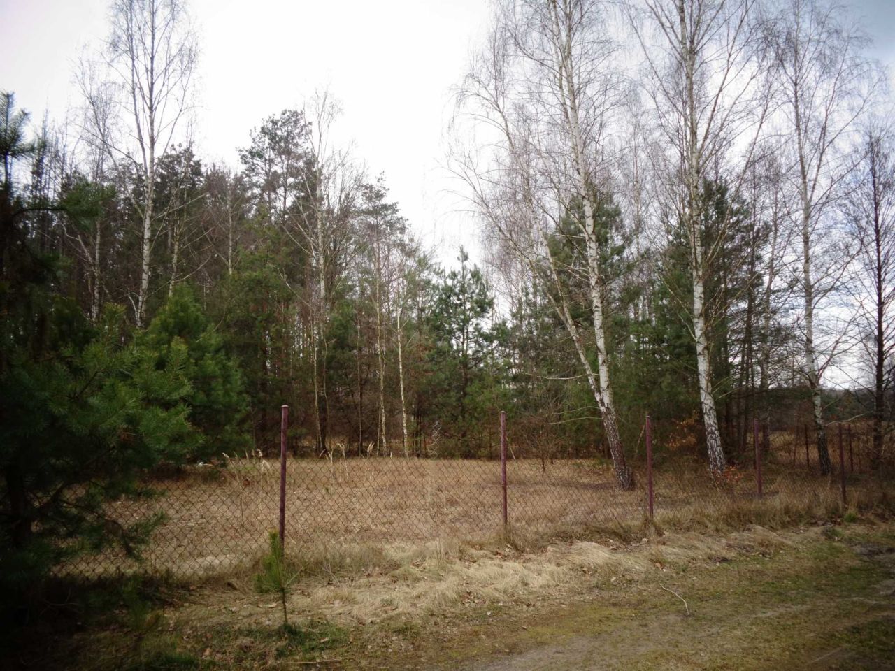 Działka budowlana Stare Polesie. Zdjęcie 6