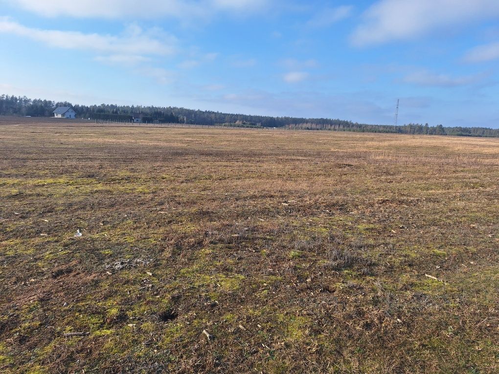 Działka budowlana Danowskie. Zdjęcie 3