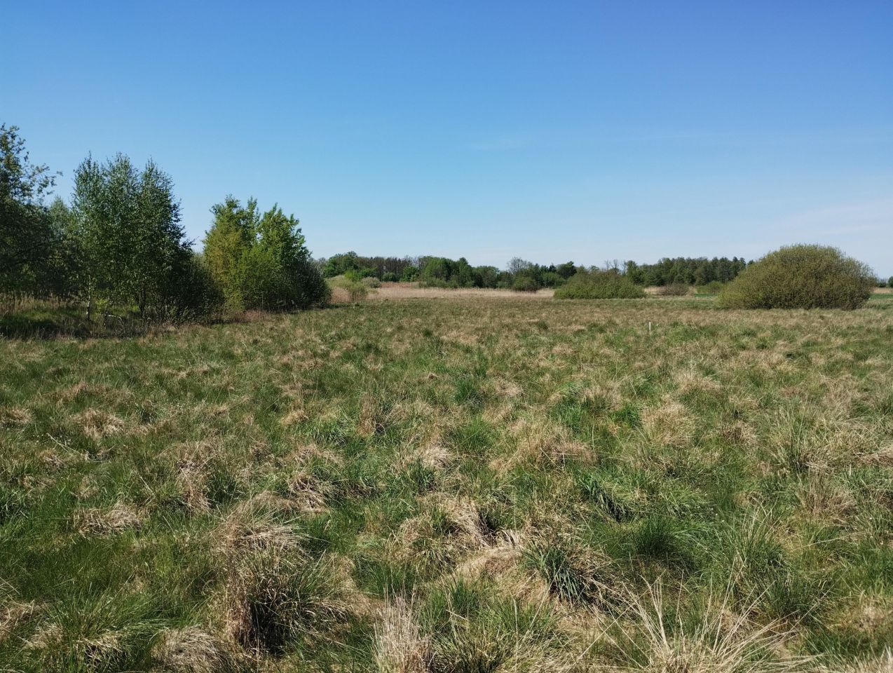 Działka rolno-budowlana Adamów, ul. Słoneczna. Zdjęcie 5