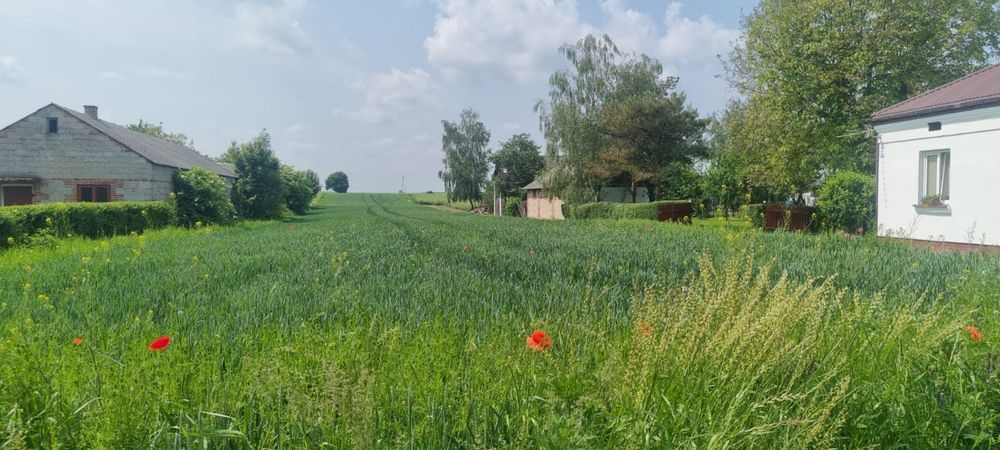 Działka budowlana Krzak