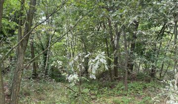 Działka rolno-budowlana Leonów