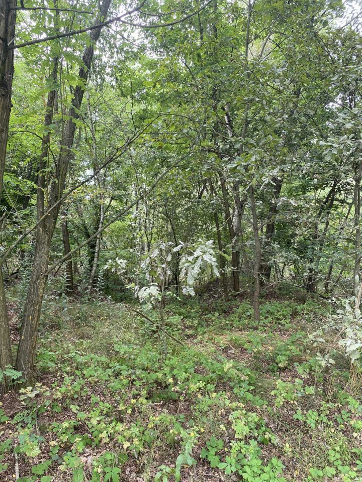 Działka rolno-budowlana Leonów