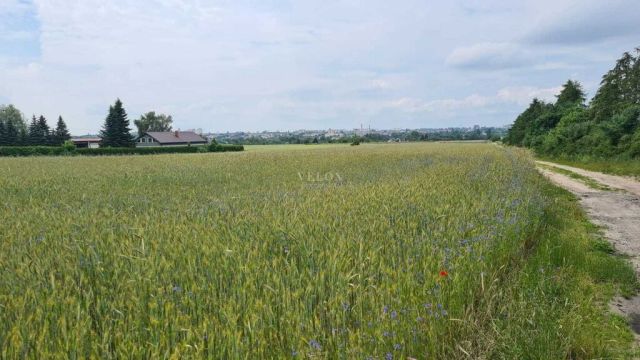 Działka budowlana Stargard. Zdjęcie 3