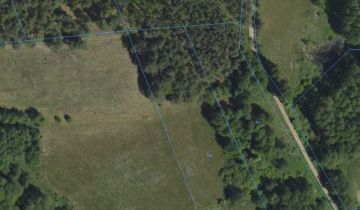 Działka rolna Borowskie Żaki