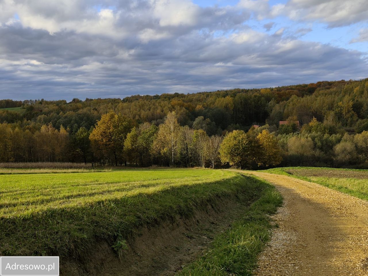 dom wolnostojący, 4 pokoje Witanowice, ul. Zagórze. Zdjęcie 6