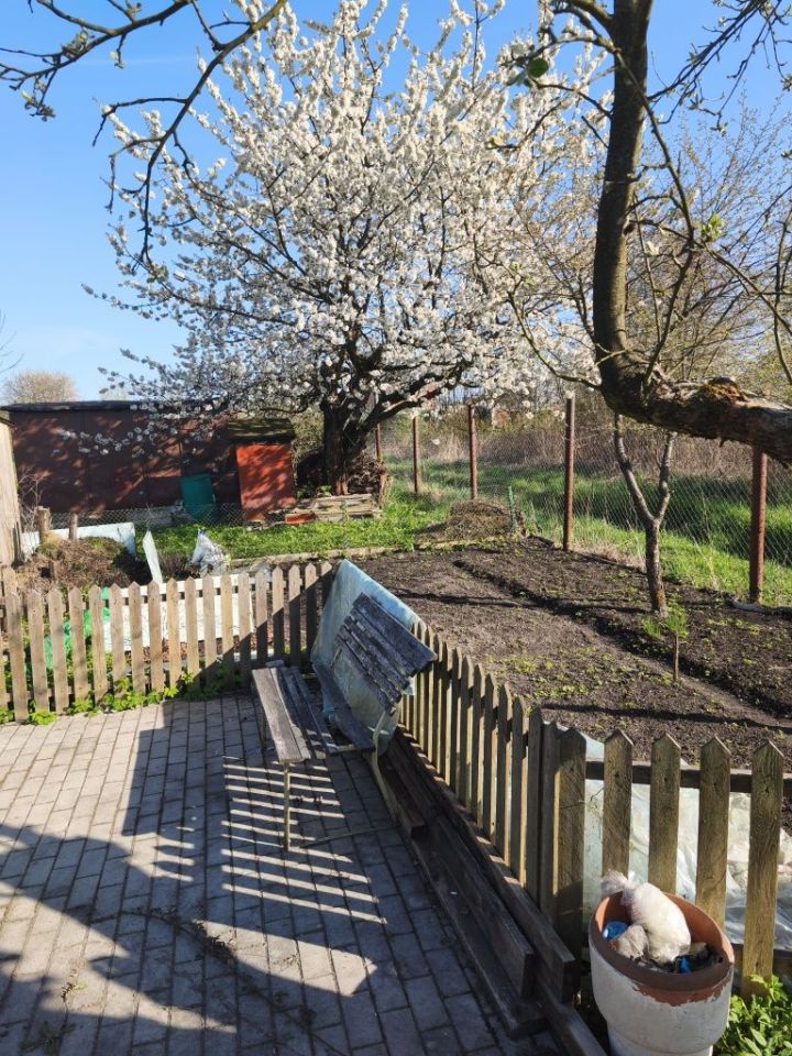 Działka rod Radomsko. Zdjęcie 5