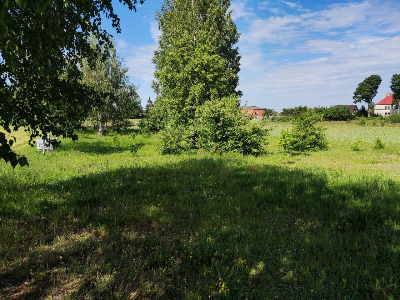 Działka rolna Krężna. Zdjęcie 4