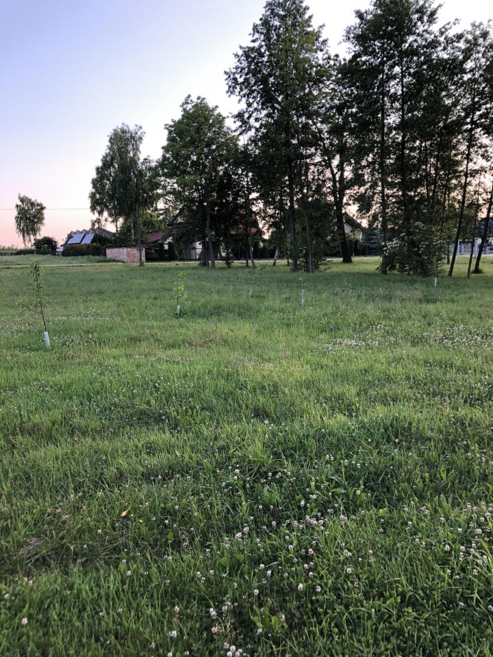 Działka budowlana Podchojny Polesie. Zdjęcie 8