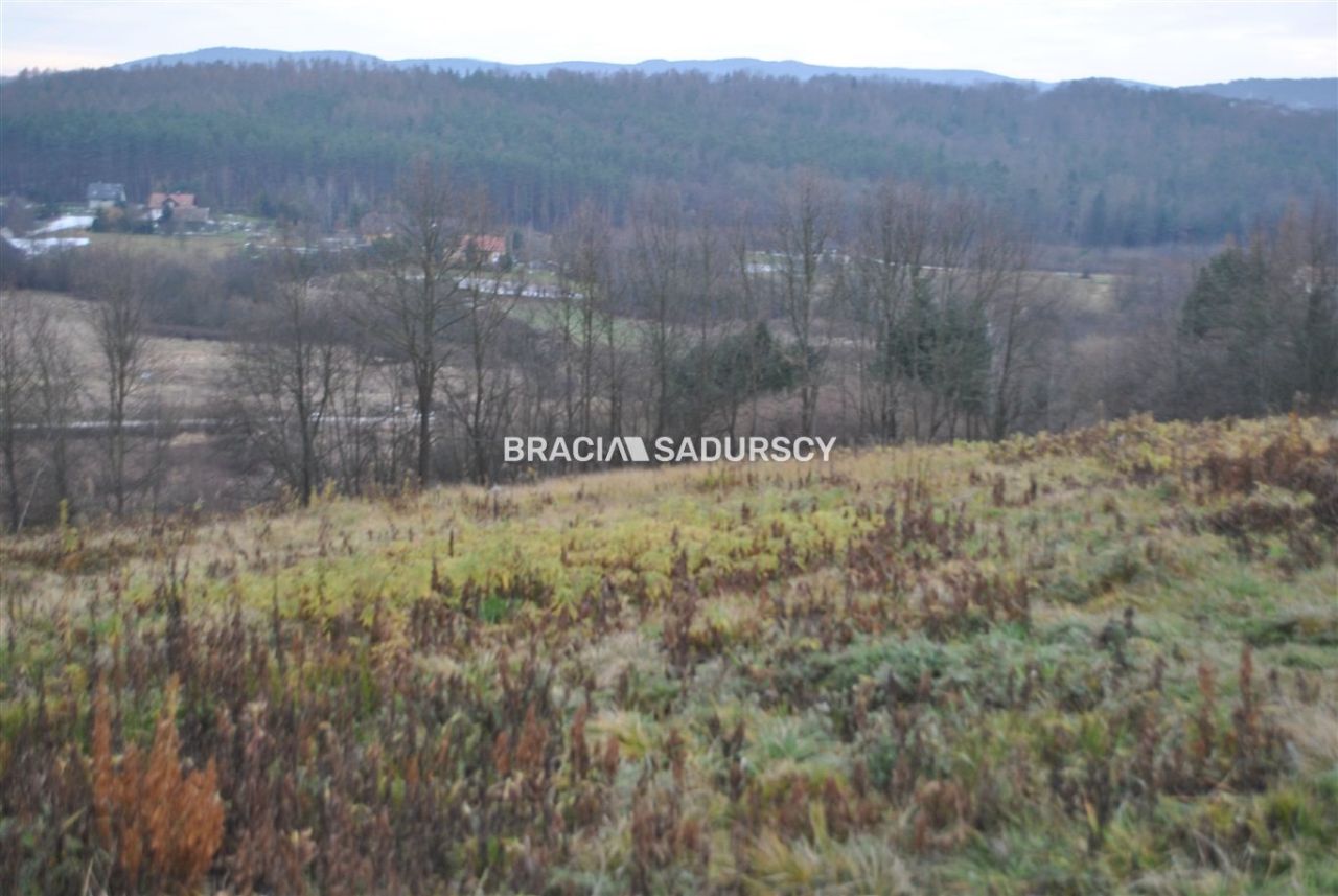 Działka rolno-budowlana Głogoczów. Zdjęcie 6