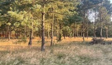 Działka rolno-budowlana Wiewiórowo