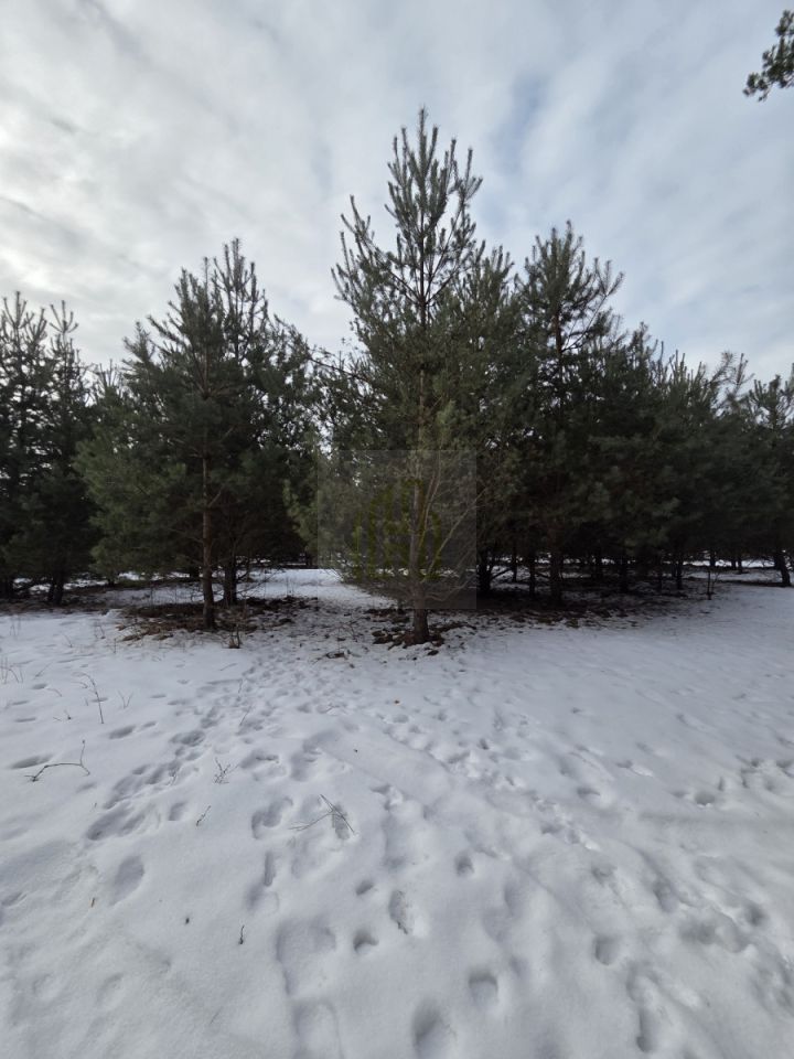 dom wolnostojący, 3 pokoje Budy Zaklasztorne. Zdjęcie 9