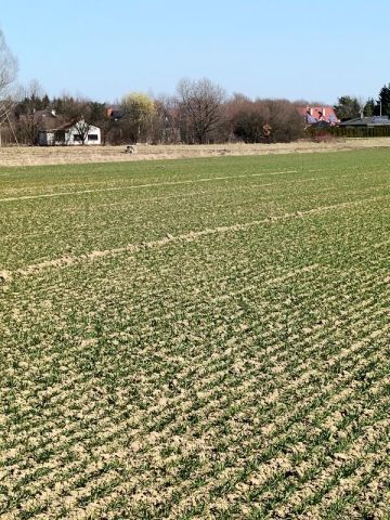 Działka budowlana Świerzowa Polska. Zdjęcie 10