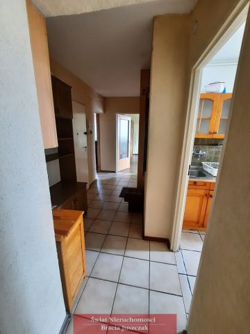 Mieszkanie 3-pokojowe Wrocław Śródmieście, pl. Grunwaldzki. Zdjęcie 5