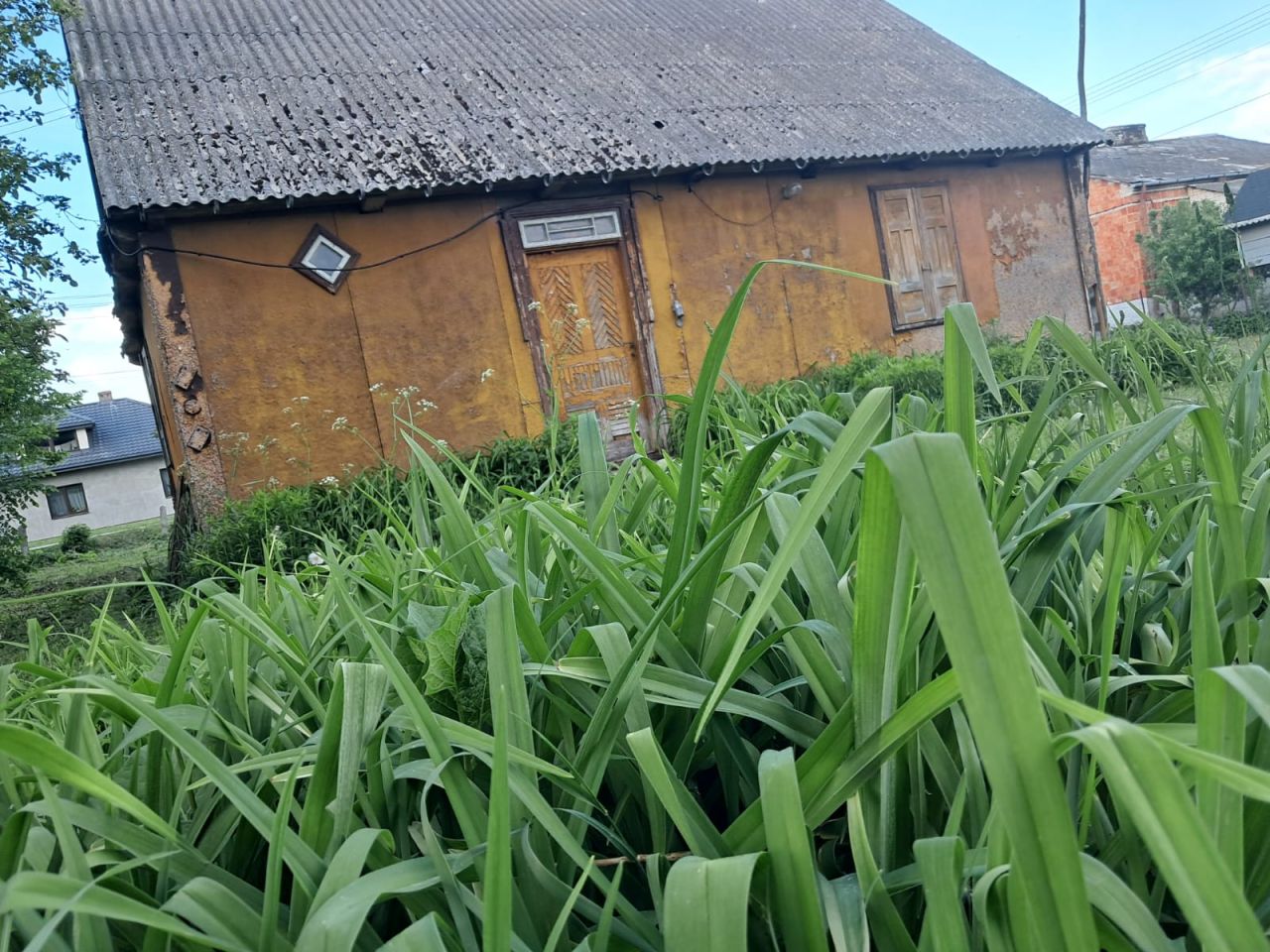 Działka siedliskowa Skrzyszew. Zdjęcie 6
