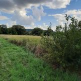 Działka rolno-budowlana Kielce Zalesie Pierwsze, ul. Zalesie. Zdjęcie 2