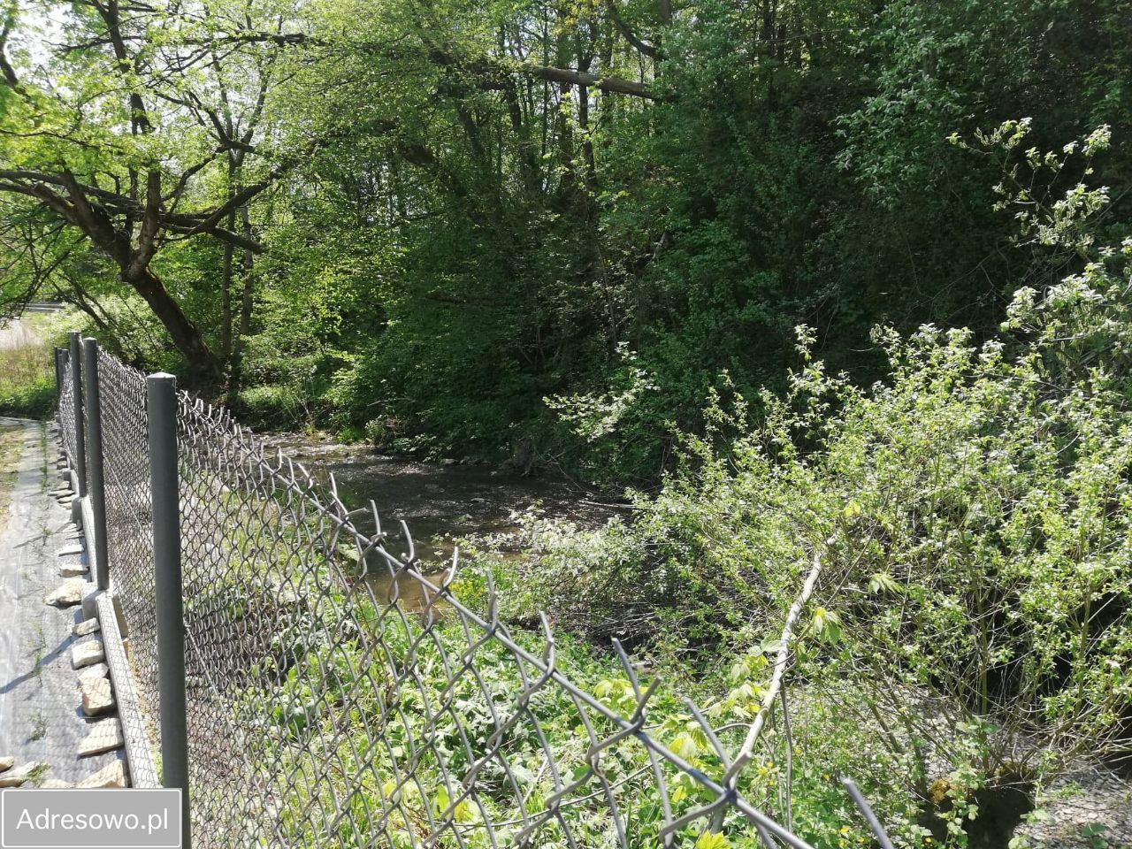 Działka rolno-budowlana Załuż. Zdjęcie 8