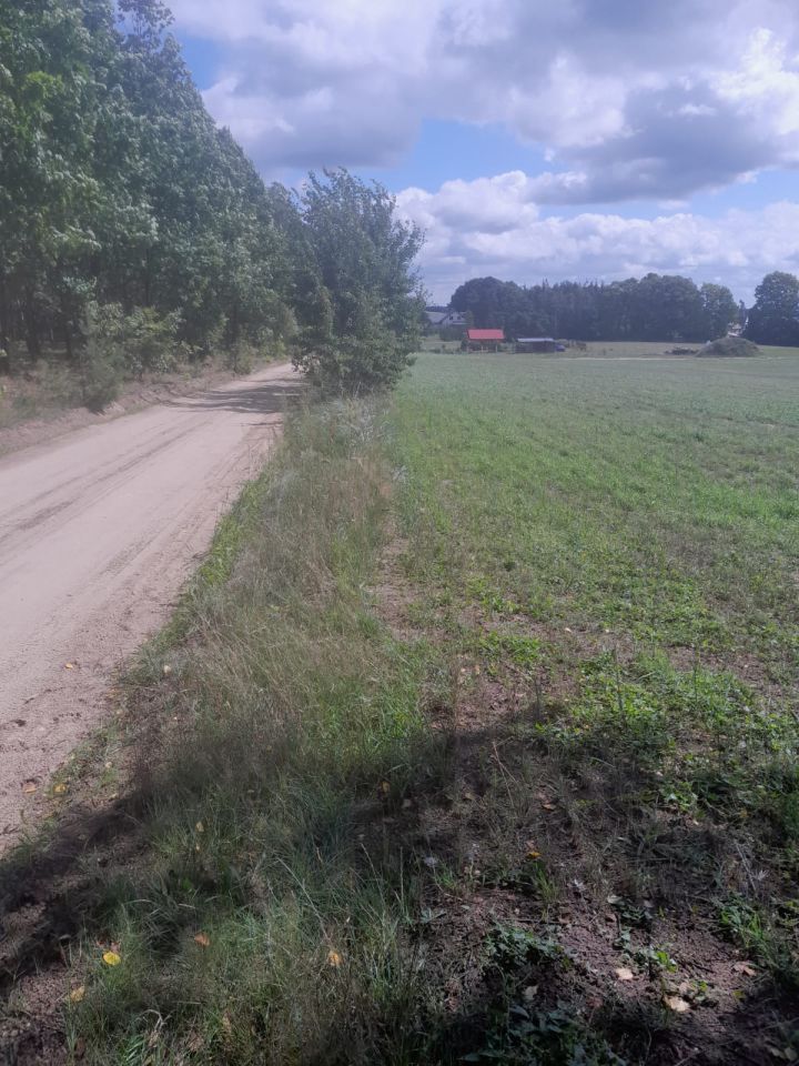 Działka budowlana Wiele Wiele-Wybudowanie. Zdjęcie 2