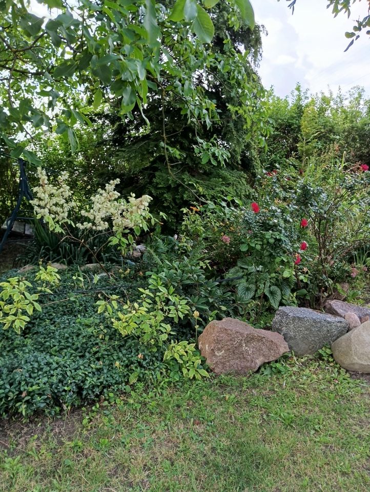 siedlisko, 4 pokoje Dukaczew. Zdjęcie 3