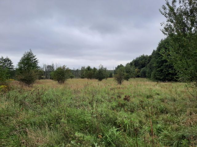 Działka rolno-budowlana Durąg. Zdjęcie 1