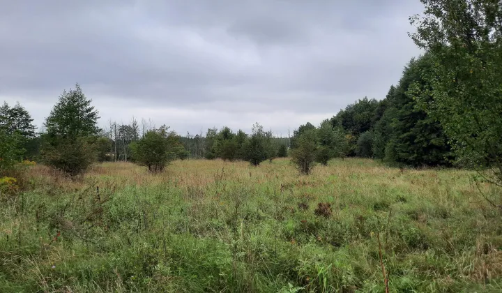 Działka rolno-budowlana Durąg