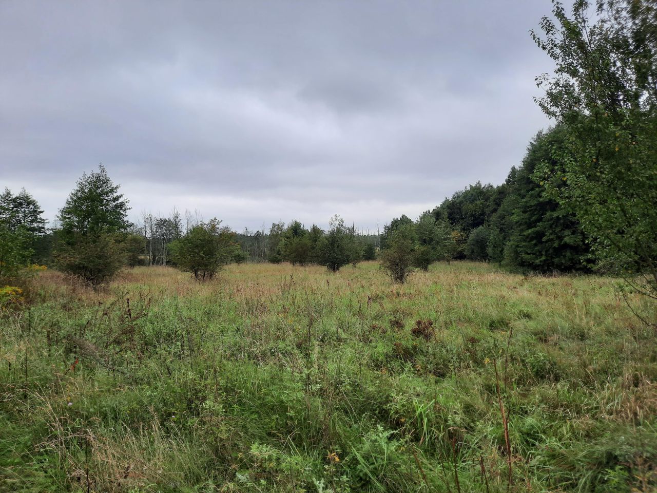 Działka rolno-budowlana Durąg