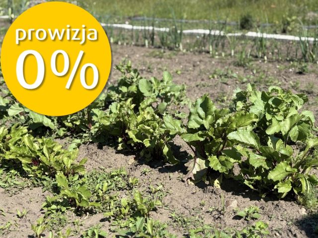 dom wolnostojący, 4 pokoje Słońsko. Zdjęcie 35