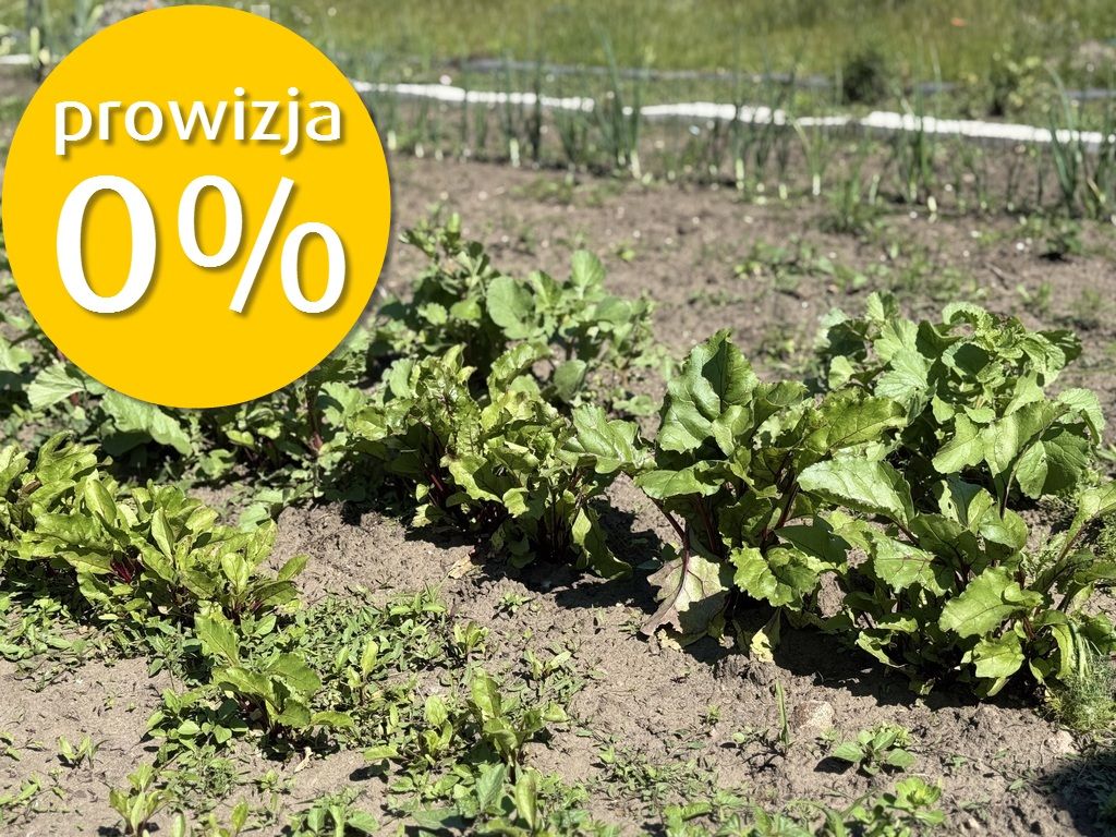 dom wolnostojący, 4 pokoje Słońsko. Zdjęcie 35