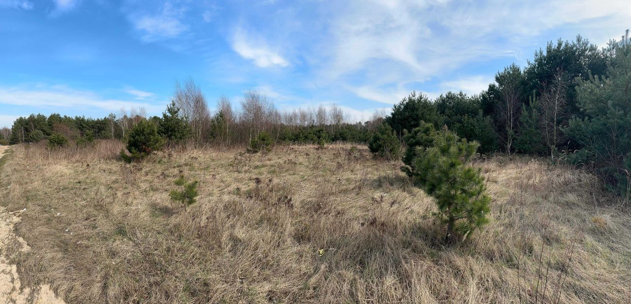 Działka rolna Steklno. Zdjęcie 5