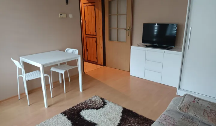 Mieszkanie 1-pokojowe Szczecin Drzetowo, ul. Willowa