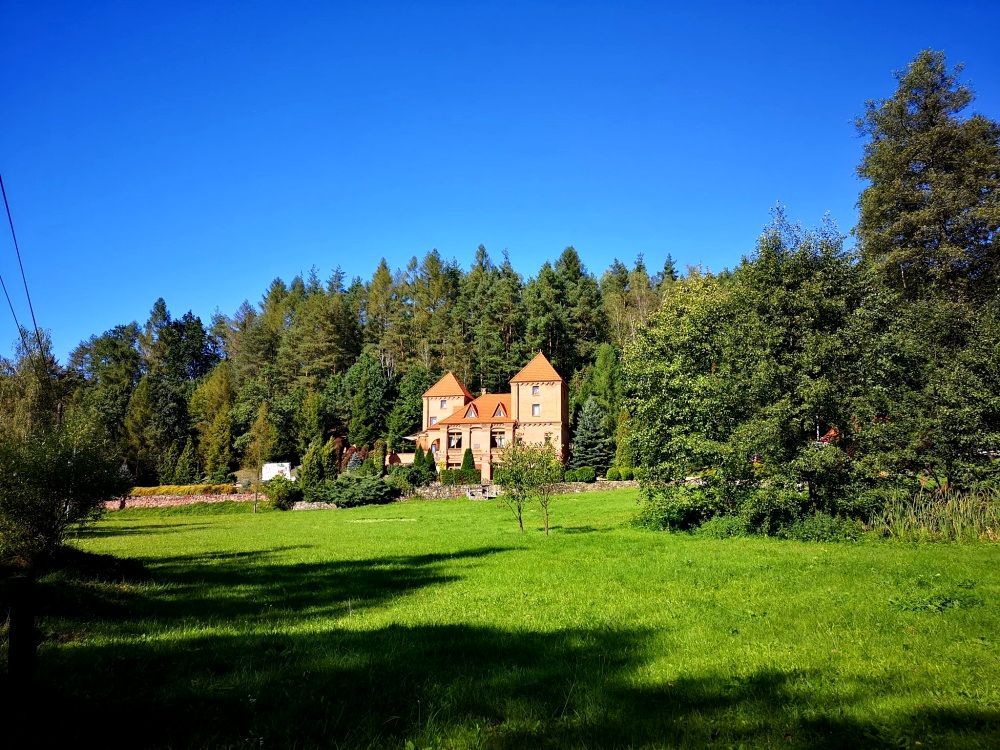 Lokal Chojnik. Zdjęcie 6