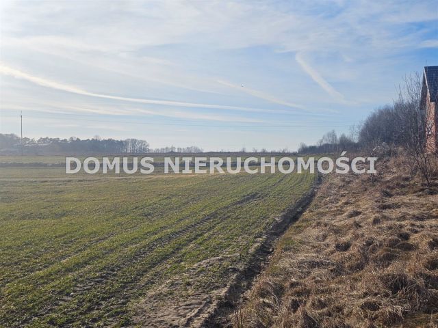 Działka Polik. Zdjęcie 5